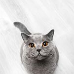 Profile Picture of John Hatfield (@johnhatfield820) on Instagram