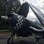 Profile Picture of John G. (@the360pugscope) on Instagram