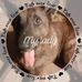 Profile Picture of Andrew Hockett (@andrew.hockett.37) on Facebook