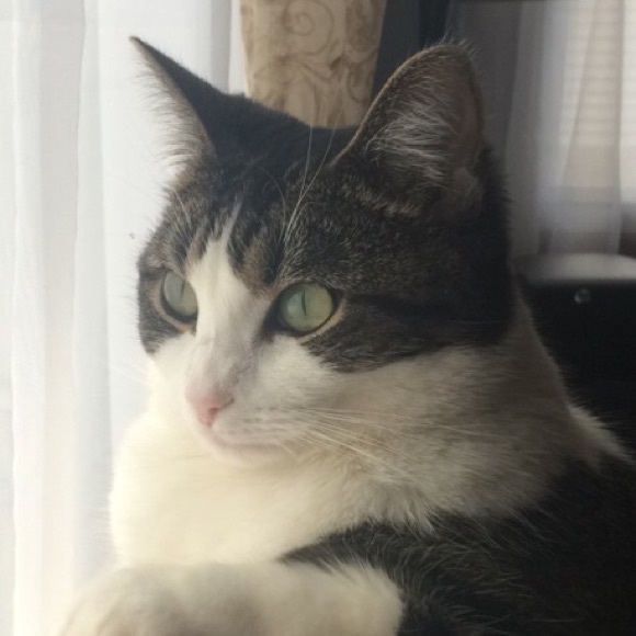 Profile Picture of Lynette Forrest (@ljforrest) on Poshmark