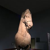 Profile Picture of Gerard Alvarez (@gerardam845) on Youtube