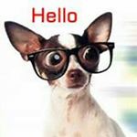 Profile Picture of Andrew Wolanske (@thereal_andrew_yt) on Instagram