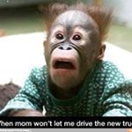 Profile Picture of Michelle Lamaster Gaines (@michellelamastergaines) on Instagram