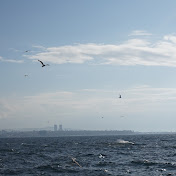 Profile Picture of Shilen (@shilen2179) on Youtube