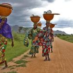 Profile Picture of Ben Amir Aminou (@aminousadjogemail) on Instagram