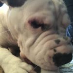 Profile Picture of Haley Boyle (@hay_boyle) on Instagram