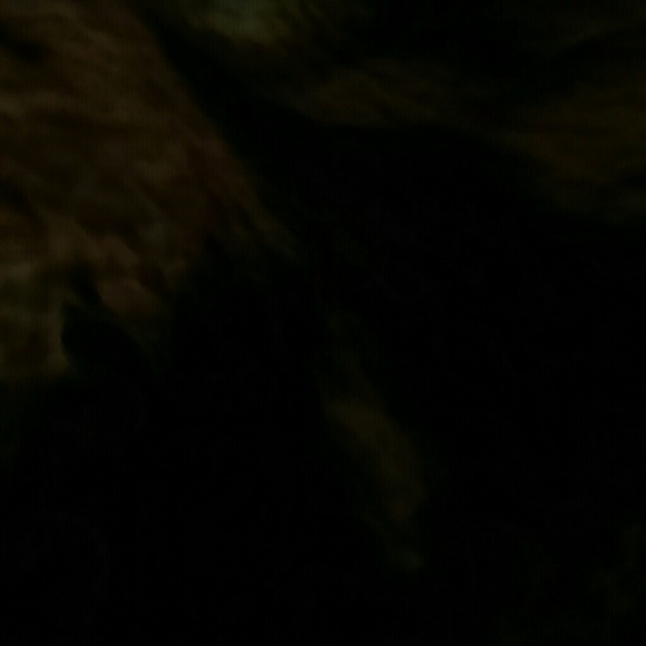 Profile Picture of Nathaniel Yanez (@jajagebs) on Poshmark