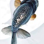 Profile Picture of Jeli Sandi (@jeli.sandi) on Instagram