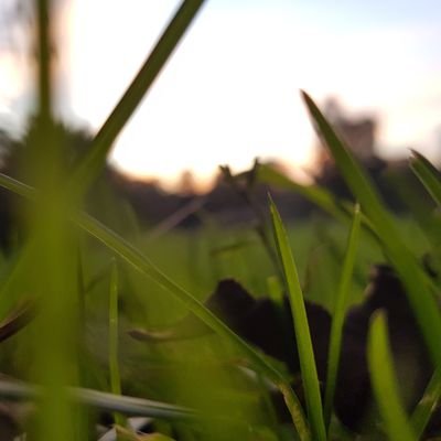 Profile Picture of Mohammad Alhaj Ali (@MohammadAlhajA4) on Twitter