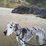 Profile Picture of Nestor Flores Marroquin (@nestorfloresmarroquin) on Instagram