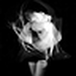 Profile Picture of Lucy  Anne (@urban-light) on Flickr