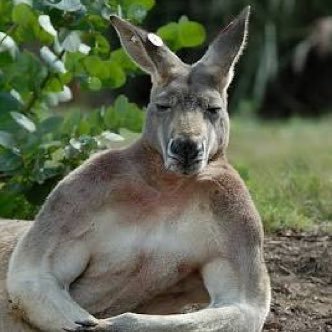 Profile Picture of Ed Preston (@prestonsoft) on Twitter