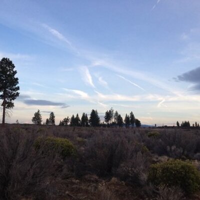 Dave Dallas - Twitter Profile Picture of Dave Dallas (@dave_delburro10) on Twitter