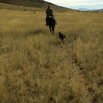 Profile Picture of Barbara Jackson (@bjacksonaz) on Twitter