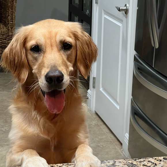 Profile Picture of Debbie Condoleo (@chancey444) on Poshmark