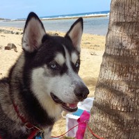 Profile Picture of Carlos Lagares (@carlos-lagares-1) on Quora