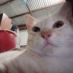 Profile Picture of Richard Firmansyah (@rchrdfirmansyh122) on Instagram