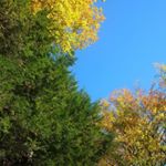 Profile Picture of Jim Preston (@jmp5486) on Instagram