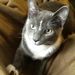 Profile Picture of Tracie Soares (@piper7777) on Pinterest