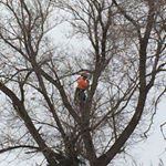 Profile Picture of Chris Heiner (@tree_man43) on Instagram