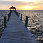 Emma Calloway - Instagram Profile Picture of Emma Calloway (@ekatherinephotography) on Instagram