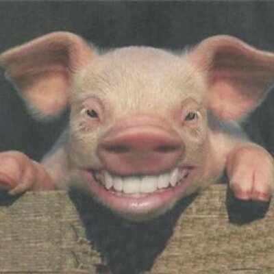 Profile Picture of Tom Fothergill (@TomFothergill3) on Twitter