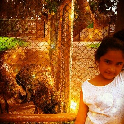 Profile Picture of Alexandra Alvares (@Alealva81328597) on Twitter