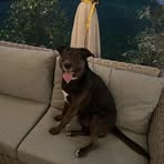 Profile Picture of Drew Derrick (@drew.derrick.9) on Facebook