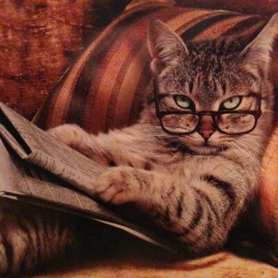Profile Picture of Alexander Bell (@SkipOnGreen1) on Twitter
