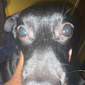 Profile Picture of Joseph Causey (@JosephCausey-is7zj) on Youtube