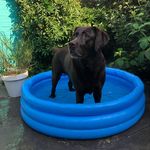 Profile Picture of De Wereld Van Joep (@dewereldvanjoep) on Instagram