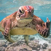 Profile Picture of Joey Hagan (@joeyhagan2759) on Youtube