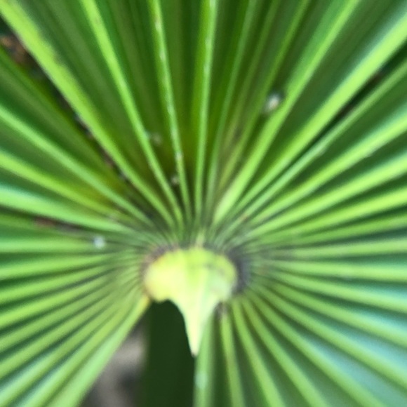 Profile Picture of Donna Minarik (@pammy1364) on Poshmark