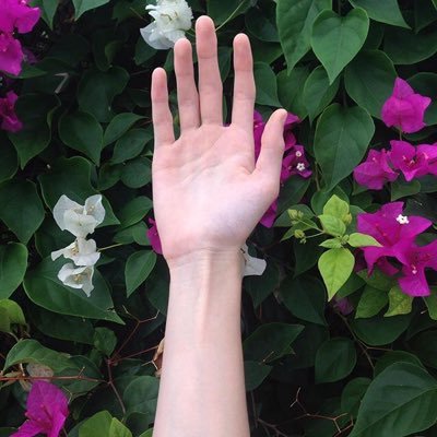 Profile Picture of Lori_Weiland (@lori_weiland) on Twitter