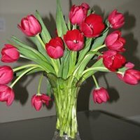 Profile Picture of Susan Arnberg (@susan-arnberg) on Quora