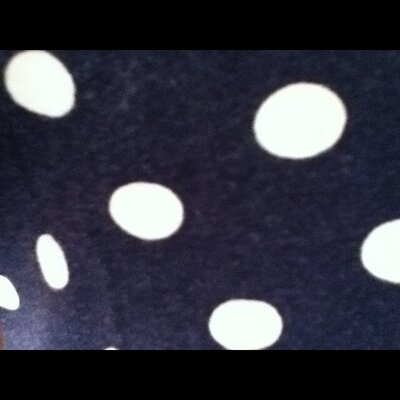 Profile Picture of LpsBrooklynHayes (@Jessie_haile) on Twitter