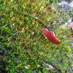 Profile Picture of Bishop Randall (@bishop3333) on Instagram