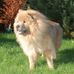 Profile Picture of Jo Barta (@jo.barta.79) on Facebook