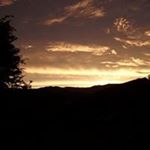 Profile Picture of Max Whittington (@maxwell.whittington) on Instagram