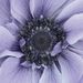 Profile Picture of andryssa (@andryssa) on Pinterest