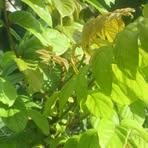 Lucy Barton - Facebook Profile Picture of Lucy Barton (@Lucy-Barton) on Facebook