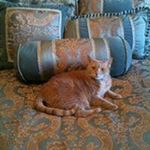 Profile Picture of Iris Wilkins (@iriswilkins) on Instagram