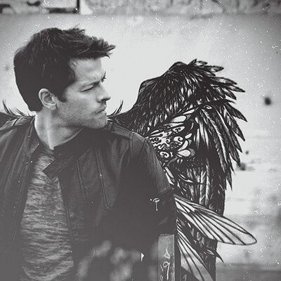 Profile Picture of Castiel's Feathers (@CasDinSam) on Twitter