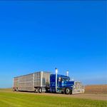 Dustin Nesbitt - Instagram Profile Picture of Dustin Nesbitt (@bullwinkle257) on Instagram