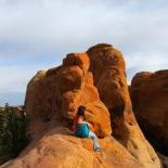 Profile Picture of Erin Cox Toynbee (@toyerin) on Pinterest