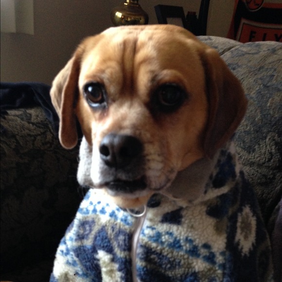 Profile Picture of Katelynn Coughenour (@ktcoke2323) on Poshmark