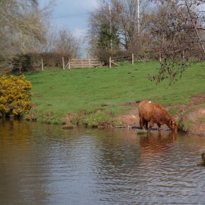 Profile Picture of Malcolm Dodd (@mallory55) on Twitter