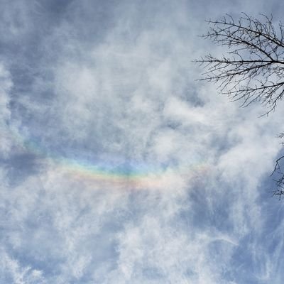 Joseph Martelli - Twitter Profile Picture of Joseph Martelli (@JosephMartelli8) on Twitter