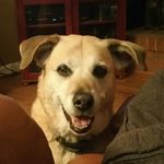 Sean Hatcher - Instagram Profile Picture of Sean Hatcher (@sean.m.hatcher) on Instagram