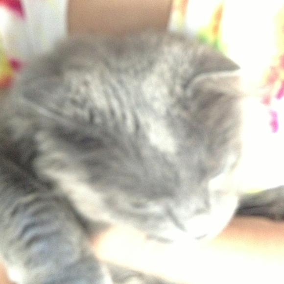 Profile Picture of Patrisha Oneill (@drtrish) on Poshmark